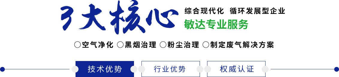 啊嗯不要插了，要高潮了啊视频网站敏达环保科技（嘉兴）有限公司